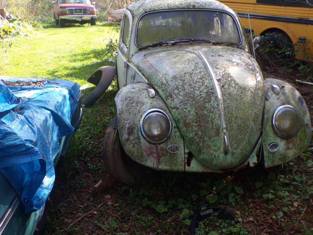 Vw-bug-1962-1
