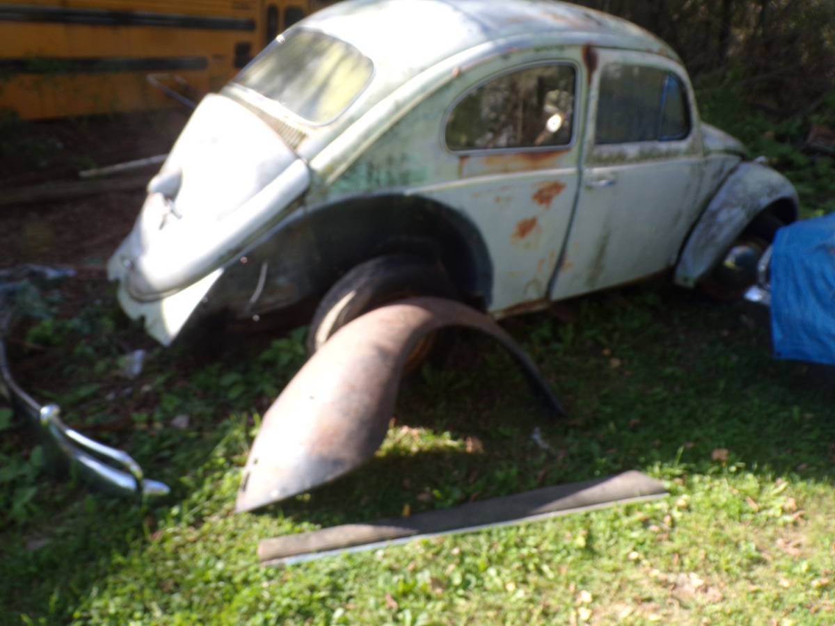 Vw-bug-1962-4