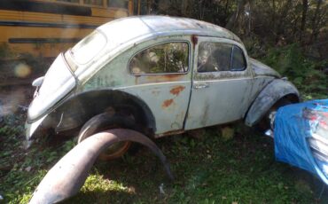 Vw-bug-1962-5