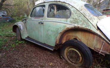 Vw-bug-1962-6