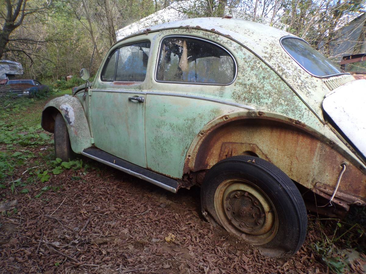 Vw-bug-1962-6