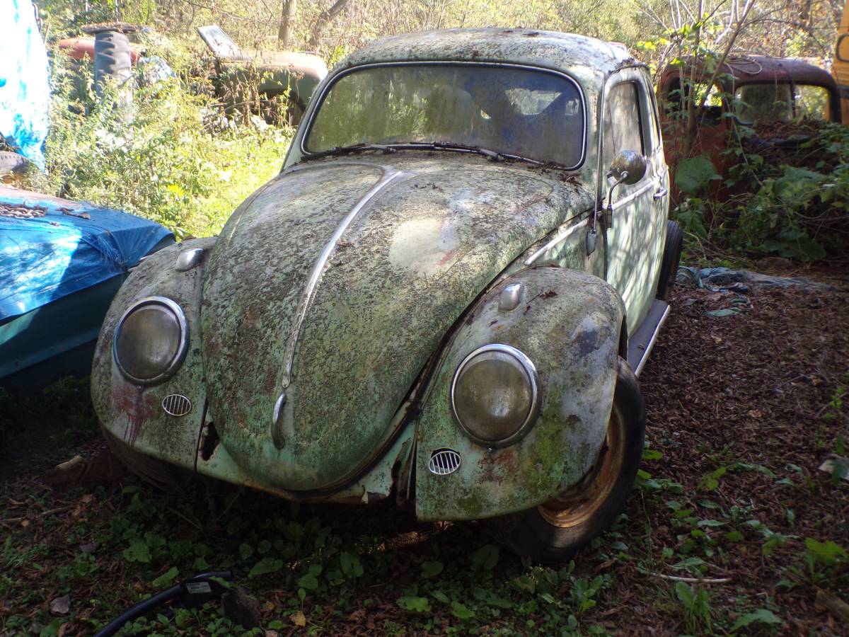 Vw-bug-1962