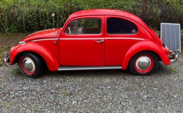 Vw-bug-1963-red-2