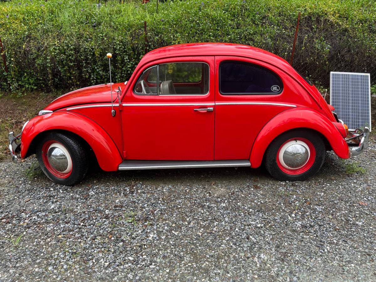 Vw-bug-1963-red-2
