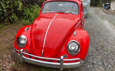 Vw-bug-1963-red-8