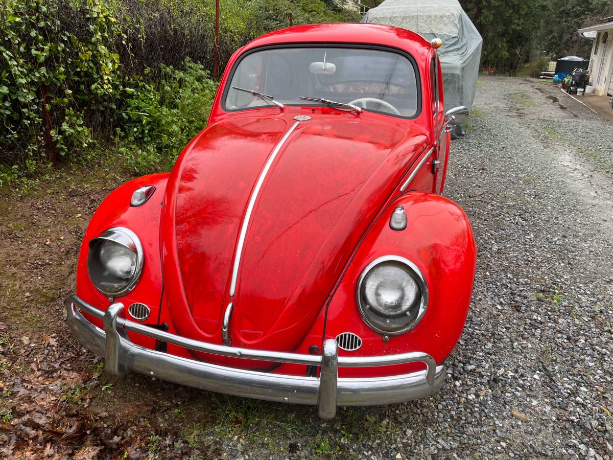 Vw-bug-1963-red-8