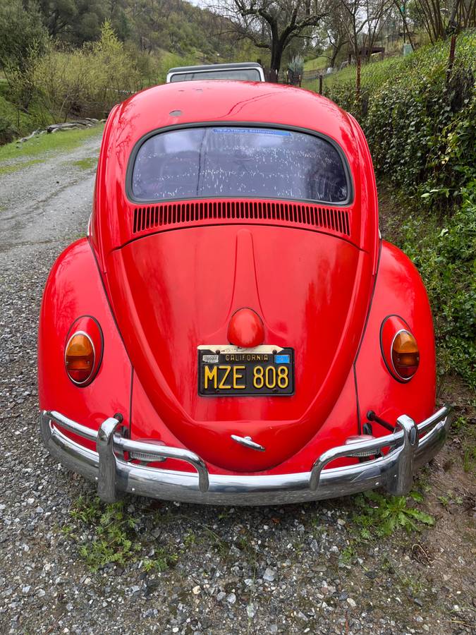Vw-bug-1963-red