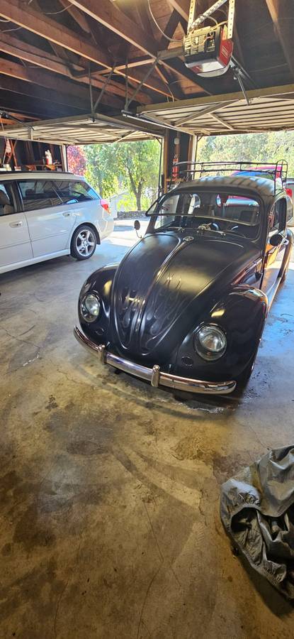 Vw-bug-1964-5