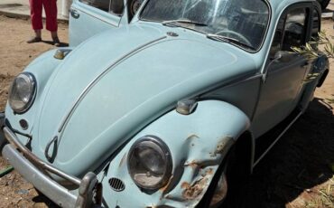 Vw-bug-1965-blue-9