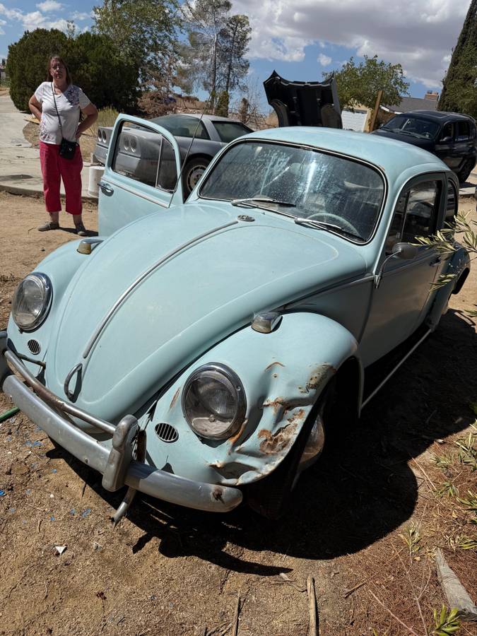 Vw-bug-1965-blue-9