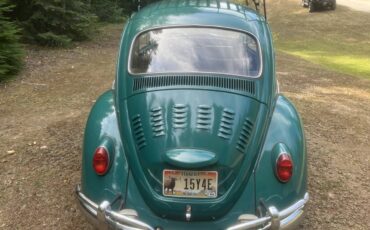 Vw-bug-1967-green-1