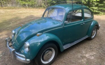 Vw-bug-1967-green-3