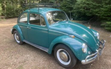 Vw-bug-1967-green