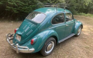 Vw-bug-1967-green-7