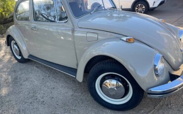 Vw-bug-1969-1
