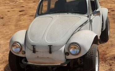 Vw-bug-1969-3