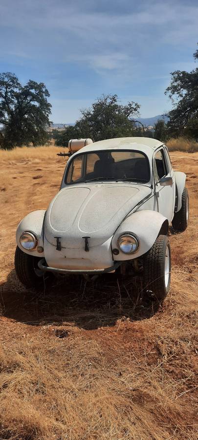 Vw-bug-1969-3