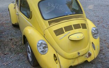 Vw-bug-1974-4
