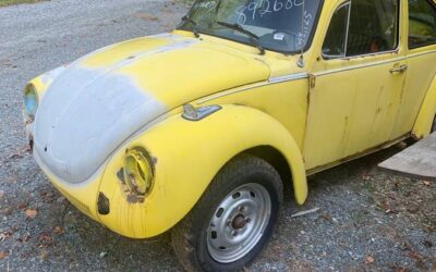 Vw bug 1974