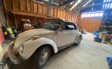 Vw-bug-1979-white-2