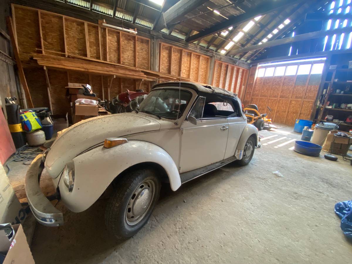 Vw-bug-1979-white-2