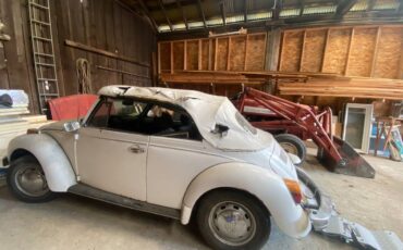 Vw-bug-1979-white-3