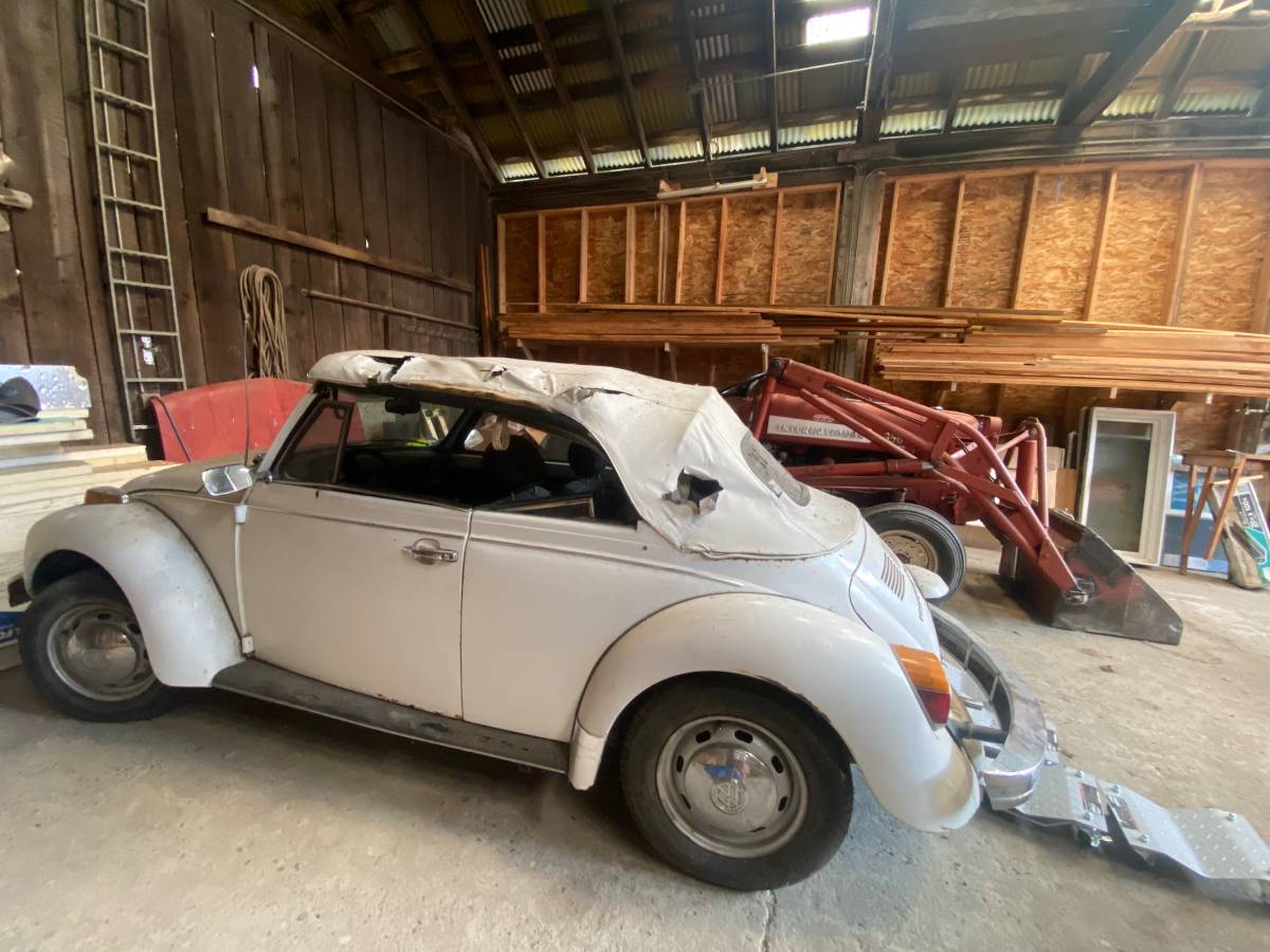 Vw-bug-1979-white-3