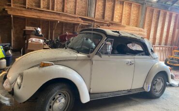Vw-bug-1979-white