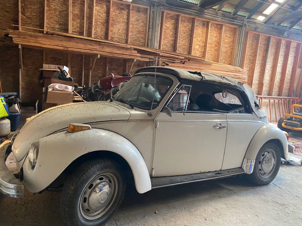 Vw-bug-1979-white