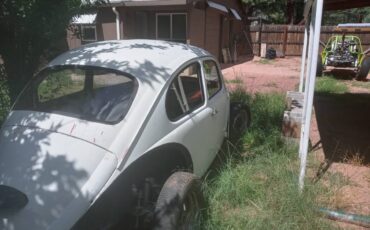 Vw-bug-1988-7