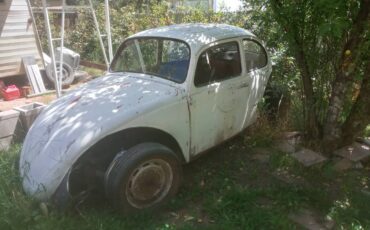 Vw-bug-1988-8