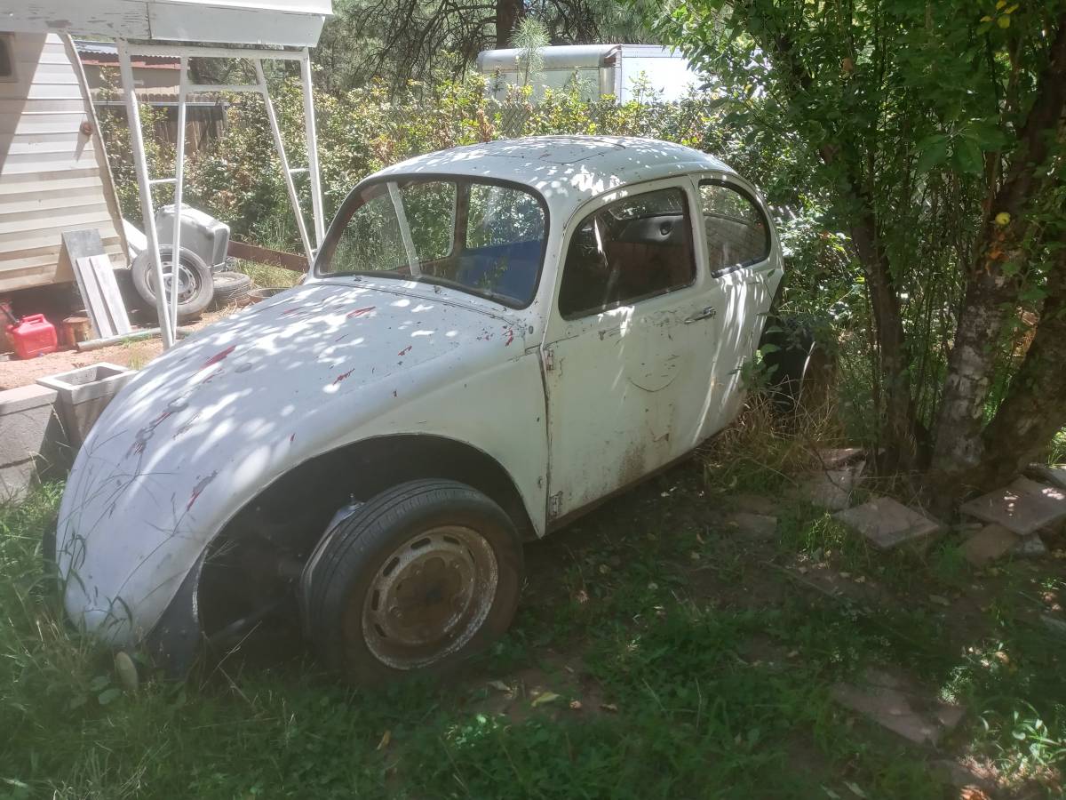 Vw-bug-1988-8