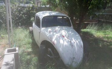 Vw-bug-1988-9