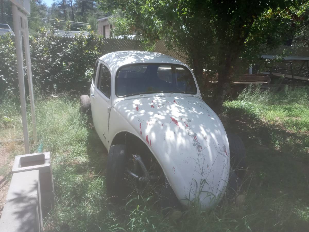 Vw-bug-1988-9