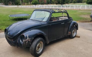 Vw-bug-convertible-1979