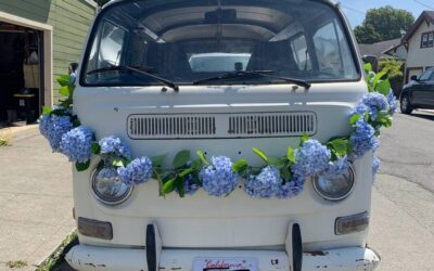 Vw bus 1970