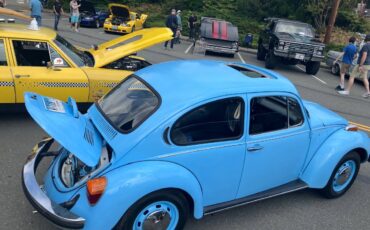 Vw-super-beetle-1974-blue-2