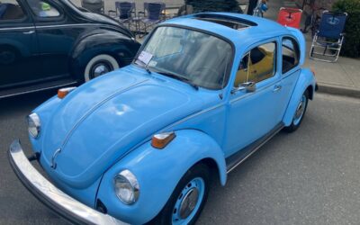 Vw super beetle 1974