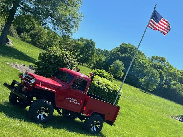 Willys-Pickup-1956-Red-Red-13