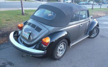 Wolfsburg-karmann-cabriolet-1979-custom-8