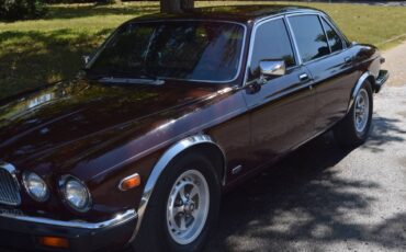 Xj6-1985-brown-2