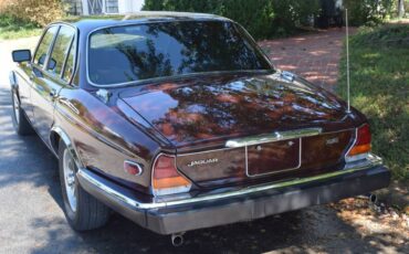 Xj6-1985-brown-3
