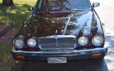 Xj6-1985-brown