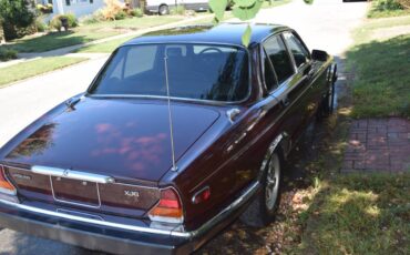 Xj6-1985-brown-4