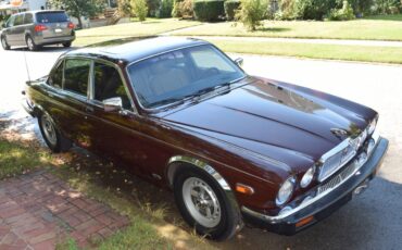Xj6-1985-brown-5
