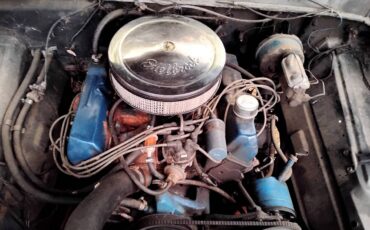 amp0-1973-black-4
