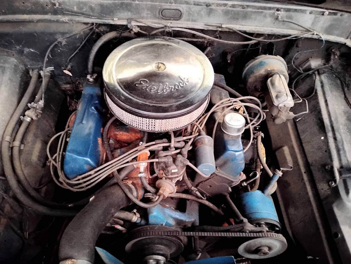 amp0-1973-black-4