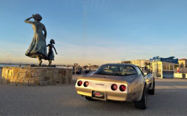goodtimers-Chevrolet-Corvette-1982-11