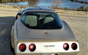 goodtimers-Chevrolet-Corvette-1982-12