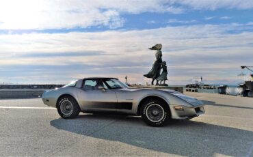 goodtimers-Chevrolet-Corvette-1982-14